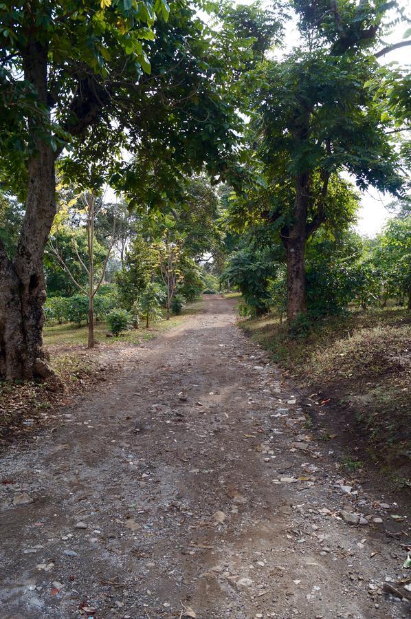 Arusha Villa Karamu Coffee Estate Usa River Εξωτερικό φωτογραφία